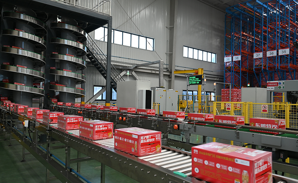 Case Conveying System